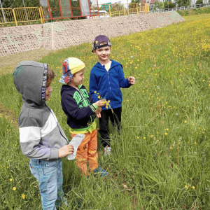 Dzieci z grupy średniej w poszukiwaniu mieszkańców łąki