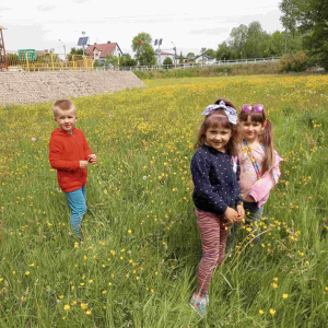 Przedszkolaki z grupy średniej obserwują kwiaty