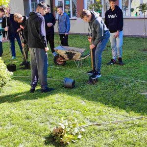 klasy VIII sadzą drzewka na placu szkolnym