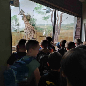 Najwyższa mieszkanka ZOO - żyrafa