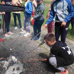 Szklarnia, ostoja konika biłgorajskiego - ognisko