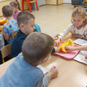 Starszaki podczas zajęć praktycznych