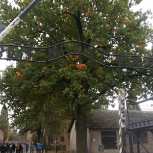 Ósmoklasiści w byłym obozie koncentracyjnym Auschwitz-Birkenau