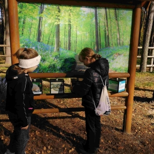 Gabrysia i Natasza rozwiązują zagadki