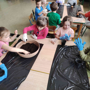 przedszkolaki z gr. średniej sadzą cebulę