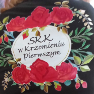 Logo Stowarzyszenia Kobiet