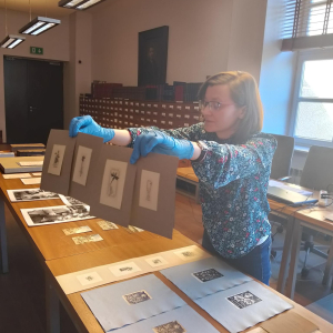 Lekcja biblioteczna w Wojewódzkiej Bibliotece im. Hieronima Łopacińskiego 2