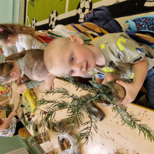 Projek edukacyjny EKOprzygody z Żywiołkami- Żywiołek ziemi- las w słoiku (2)