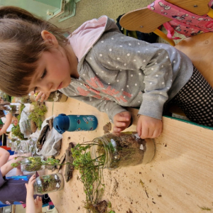 Projek edukacyjny EKOprzygody z Żywiołkami- Żywiołek ziemi- las w słoiku (2)