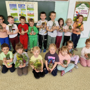 Projek edukacyjny EKOprzygody z Żywiołkami- Żywiołek ziemi- las w słoiku
