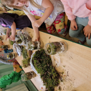 Projek edukacyjny EKOprzygody z Żywiołkami- Żywiołek ziemi- las w słoiku (2)