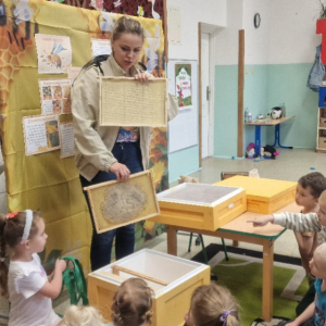 Dzień Pszczoły w gr. średniej- przedstawienie wyglądu ula