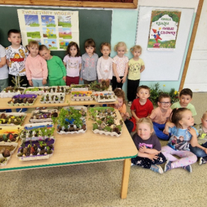Misja Las - tworzymy pudełka ze skarbami lasu
