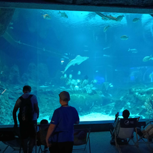 Orientarium ZOO Łódź 1