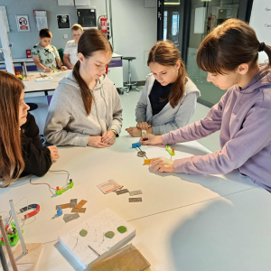 Magnetyczny powab elektromagnetyzmu zajęcia w laboratorium IV-V .
