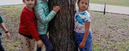 Kampania „PRZYTUL SIĘ DO DRZEWA"