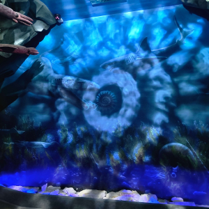 Element wystawy Roztoczańskiego Parku Narodowego