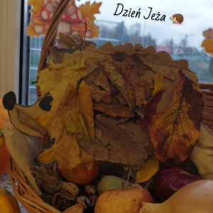 Jeż znalazł swój domek