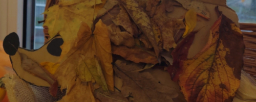 Poznajemy kolczastego wędrowca – Dzień Jeża w przedszkolu