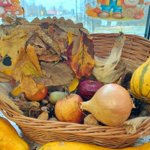 Jeż w swoim koszyku