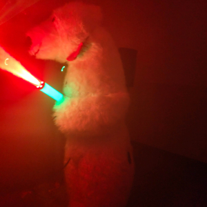 Andrzejkowy gość - biały miś.