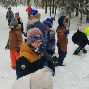 Kasy 1 i 2 na kuligu.