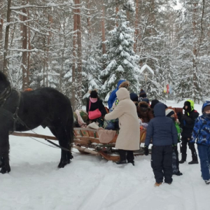 Kasy 1 i 2 na kuligu.