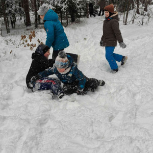 Kasy 1 i 2 na kuligu.