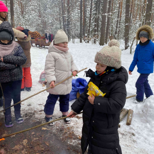 Kasy 1 i 2 na kuligu.