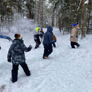 Kasy 1 i 2 na kuligu.