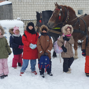 Kasy 1 i 2 na kuligu.