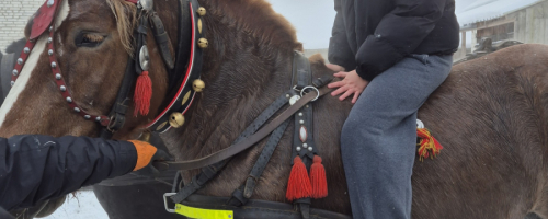 „Śnieg, sanie i uśmiechy na kuligu klasy siódmej