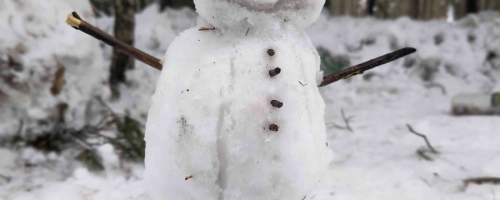 „Śnieg, sanie i uśmiechy" na kuligu klas 4,5,6,8