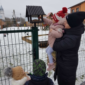 Akcja Dokarmianie ptaków grupa młodsza