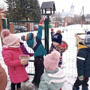 Akcja Dokarmianie ptaków grupa średnia (2)