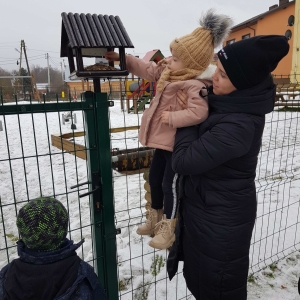 Akcja Dokarmianie ptaków grupa młodsza