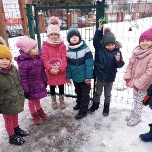 Akcja Dokarmianie ptaków grupa średnia (2)